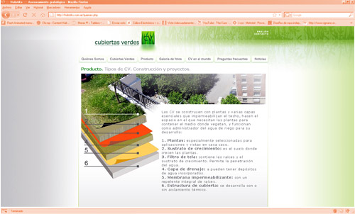 Website